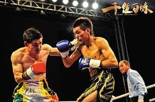 吃瓜娱乐拳击视频下载,揭秘吃瓜群众热捧的拳击视频下载热潮