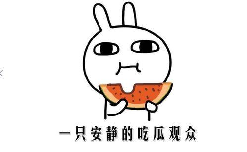今天吃瓜是什么意思
