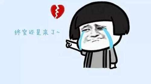 娱乐吃瓜酱停止熬夜,娱乐吃瓜酱开启健康生活新篇章