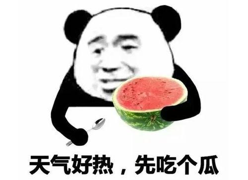 微信吃瓜的表情包,揭秘网络热梗背后的趣味与思考