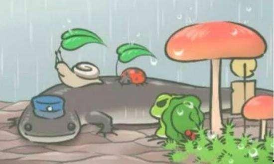 娱乐可爱蛙吃瓜,欢乐无限秀萌态